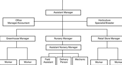 Organizational Structure & Staff .